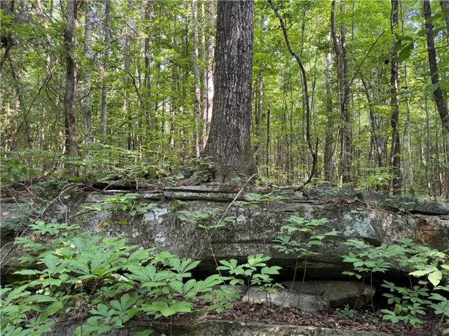 3850 County Road 70 N/a, Camp Hill, Alabama 36850