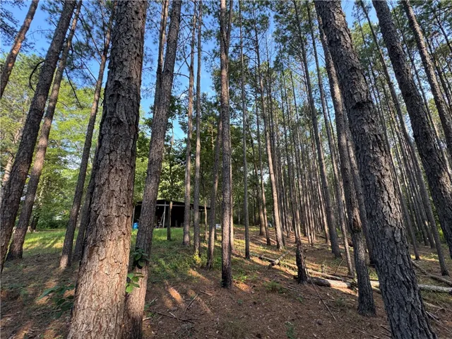 3850 County Road 70 N/a, Camp Hill, Alabama 36850
