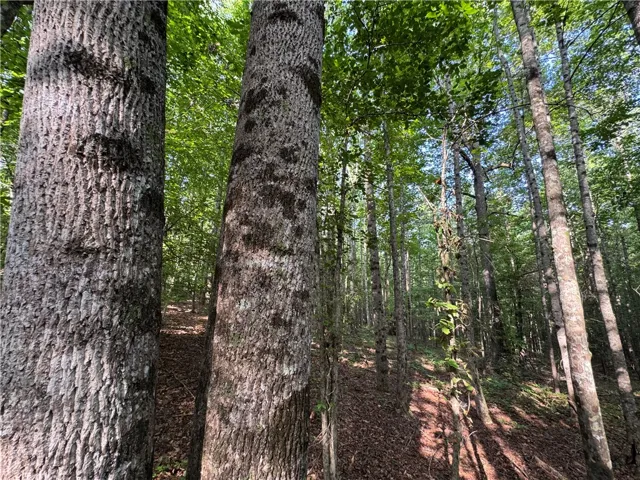 3850 County Road 70 N/a, Camp Hill, Alabama 36850