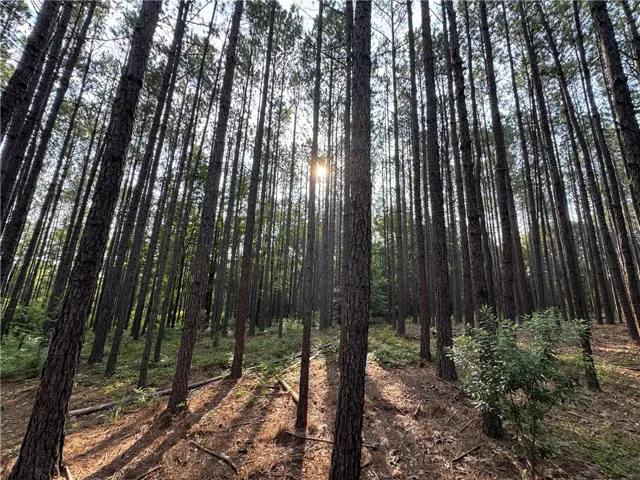 3850 County Road 70 N/a, Camp Hill, Alabama 36850