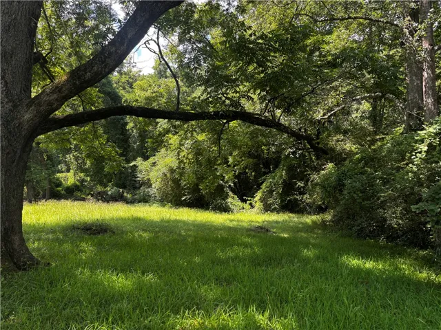 A tranquil, tree-shaded clearing with verdant grass, offering a private, natural setting.