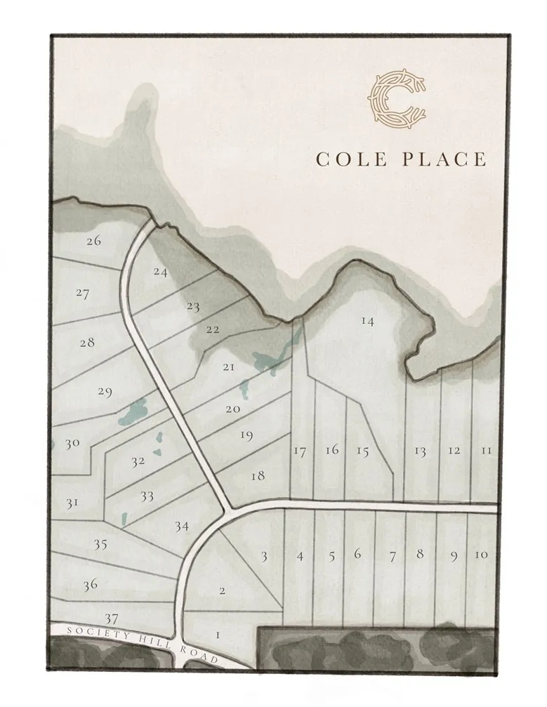Visualize property boundaries and lot layouts within this comprehensive plat map of Cole Place.