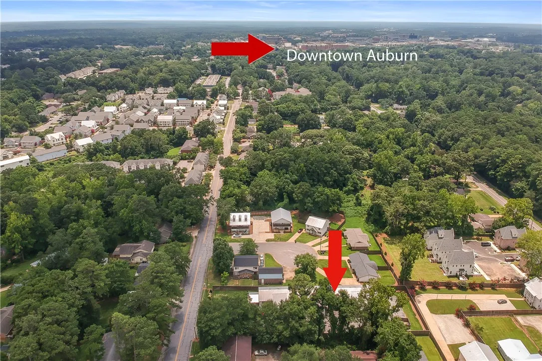 An aerial perspective showcases a vibrant, tree-lined neighborhood with glimpses of distant city structures.