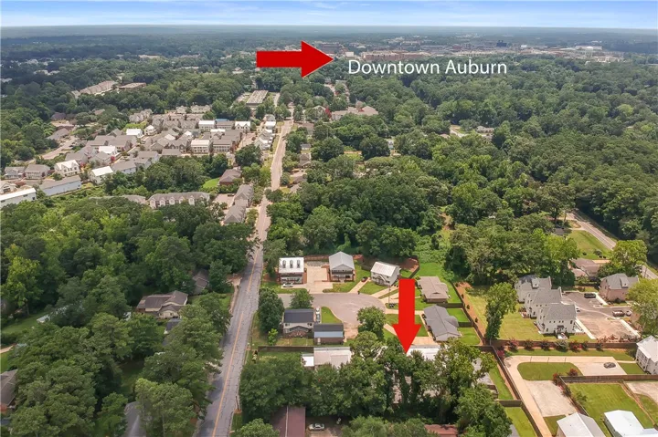 An aerial perspective showcases a vibrant, tree-lined neighborhood with glimpses of distant city structures.