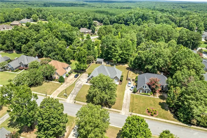An aerial perspective reveals a tranquil suburban neighborhood with lush green lawns and abundant mature trees.