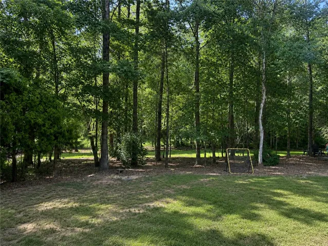 1295 Shadowwood Lane, Auburn, Alabama 36879