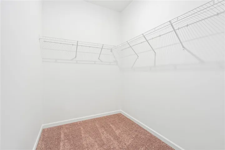 Ample wire shelving lines this clean, carpeted storage space.