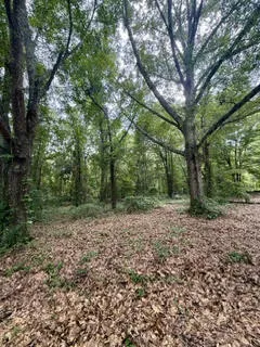 Mostly level with walking trails around and interior