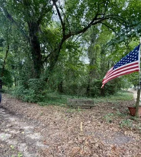 Mature trees frame a promising undeveloped lot, offering natural seclusion and ample space for a future home or manufactured home.