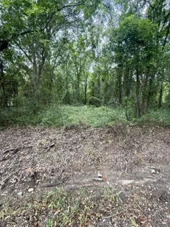 0 Lee Road 122 N/a, Opelika, Alabama 36804
