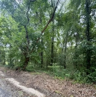 0 Lee Road 122 N/a, Opelika, Alabama 36804