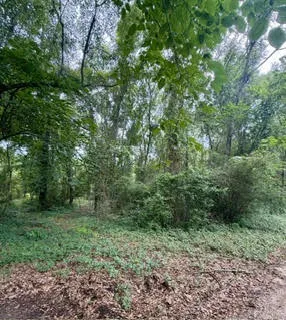 0 Lee Road 122 N/a, Opelika, Alabama 36804