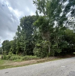 0 Lee Road 122 N/a, Opelika, Alabama 36804