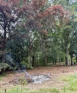 0 Lee Road 122 N/a, Opelika, Alabama 36804