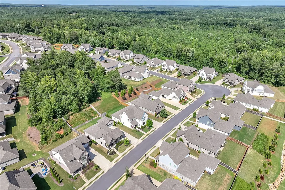 An aerial perspective reveals a vibrant community with houses nestled alongside a verdant forest.