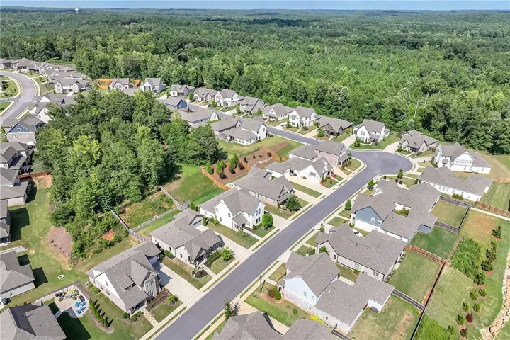 An aerial perspective reveals a vibrant community with houses nestled alongside a verdant forest.