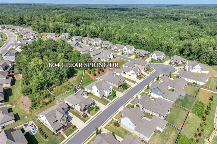 An aerial perspective reveals a harmonious neighborhood layout, nestled against a lush, verdant backdrop.