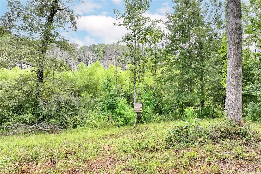 Mature trees and lush greenery define this natural, tranquil setting, ready for your custom build.