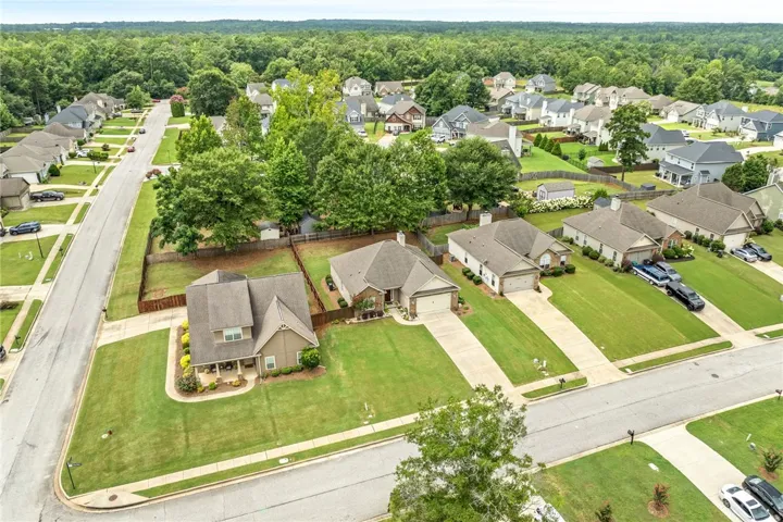 An aerial perspective reveals a harmonious neighborhood nestled against a lush, verdant backdrop.