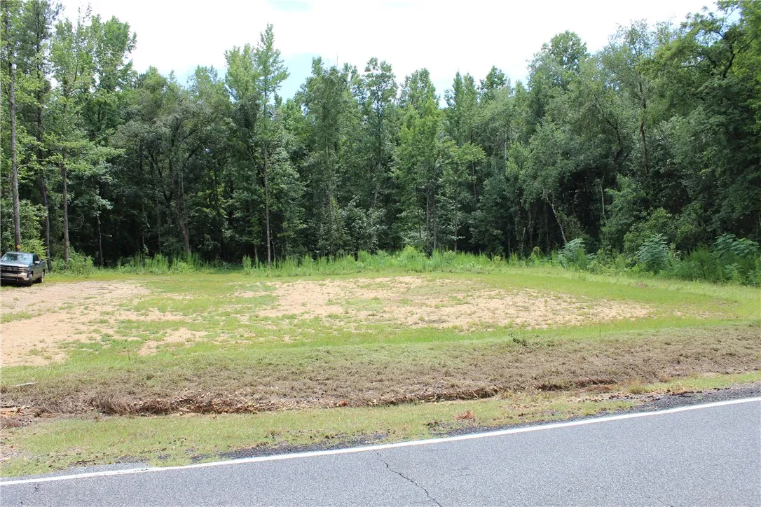 A spacious, cleared lot bordered by dense, mature trees offers ample room for development.