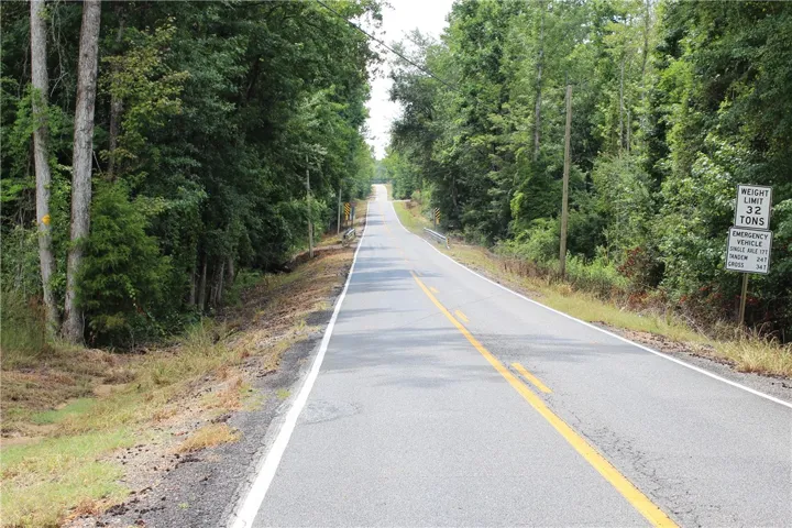 A tranquil, tree-lined road stretches into the distance, offering a peaceful rural setting.