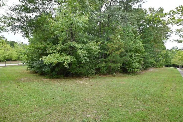 2562 Blackwood Court, Auburn, Alabama 36830