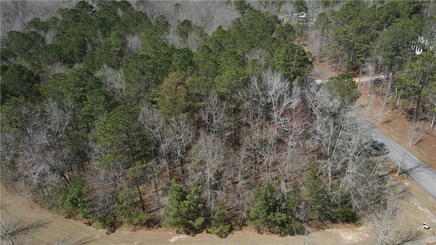 2562 Blackwood Court, Auburn, Alabama 36830