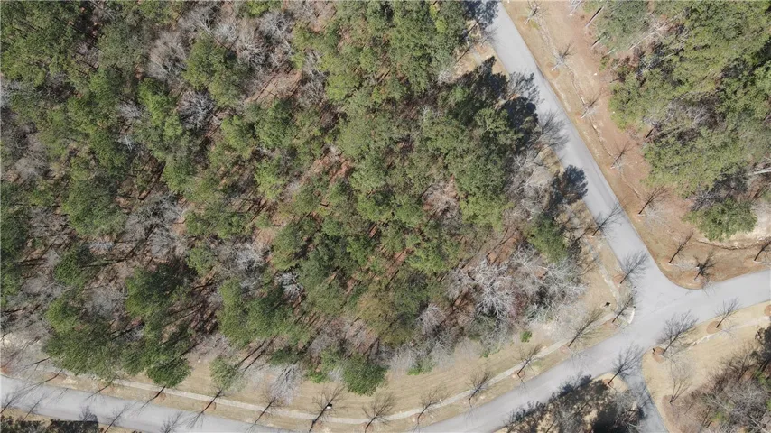 2562 Blackwood Court, Auburn, Alabama 36830