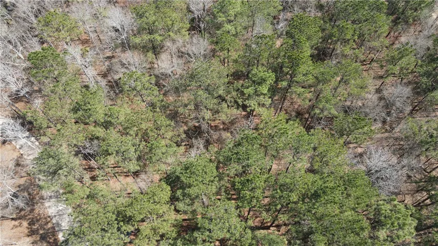 2562 Blackwood Court, Auburn, Alabama 36830
