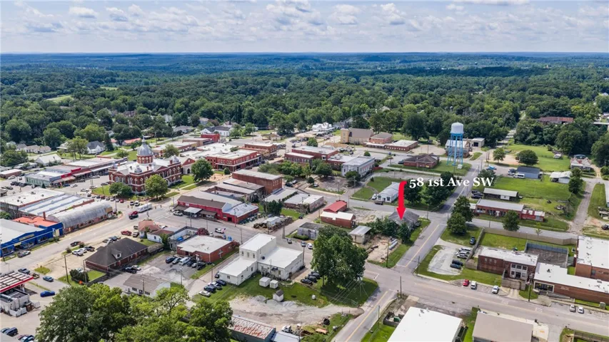 An aerial panorama reveals a vibrant downtown with lush, surrounding greenery.