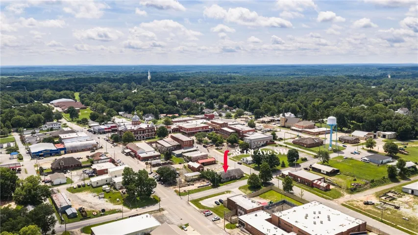 An aerial perspective reveals a charming town nestled amidst abundant natural greenery under a bright sky.