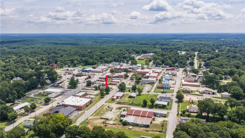 An aerial perspective reveals a charming town nestled amidst lush green forests.
