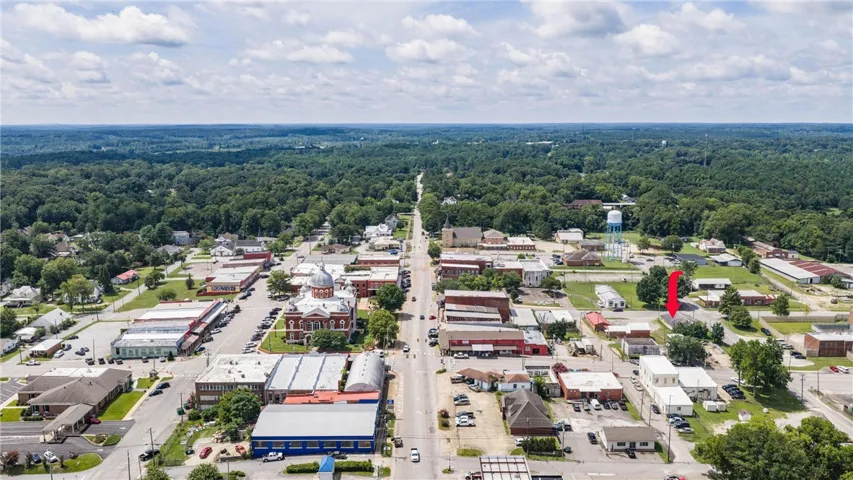 An aerial perspective reveals a vibrant small town nestled amongst a vast, verdant landscape.