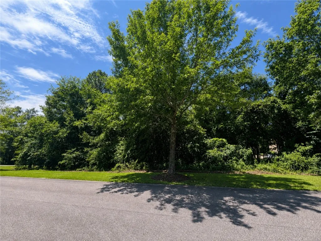 Beautiful Lot, perfect for building!