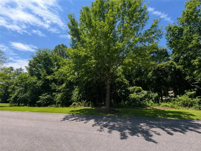 Beautiful Lot, perfect for building!