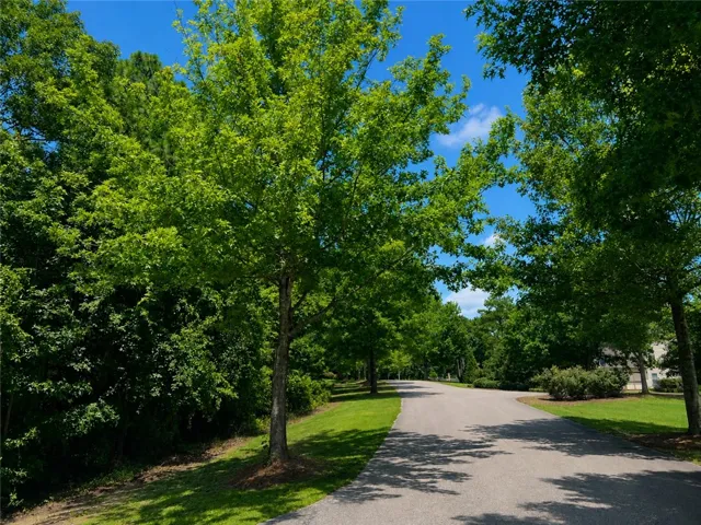 Beautiful tree lined streets in Blue Ridge S/D