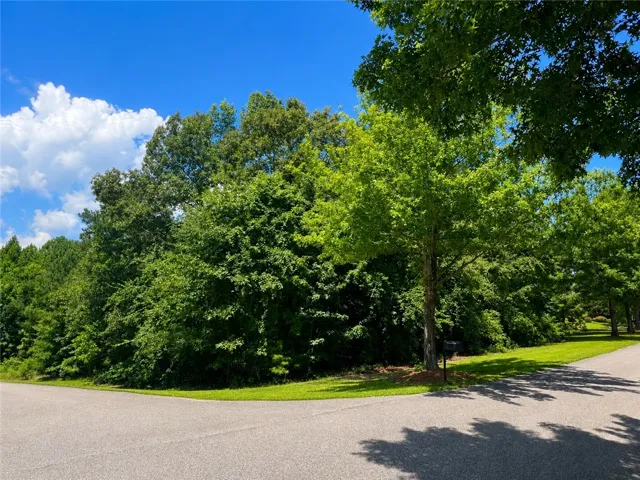 Mature hardwood trees