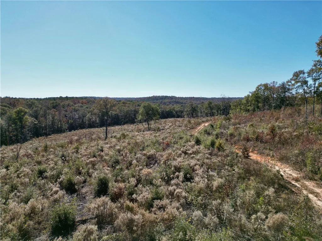 A winding dirt path traverses a verdant, sun-drenched landscape, promising exploration.
