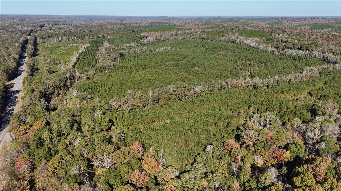 Acres of verdant forest and undeveloped land offer vast possibilities for rural living or investment.