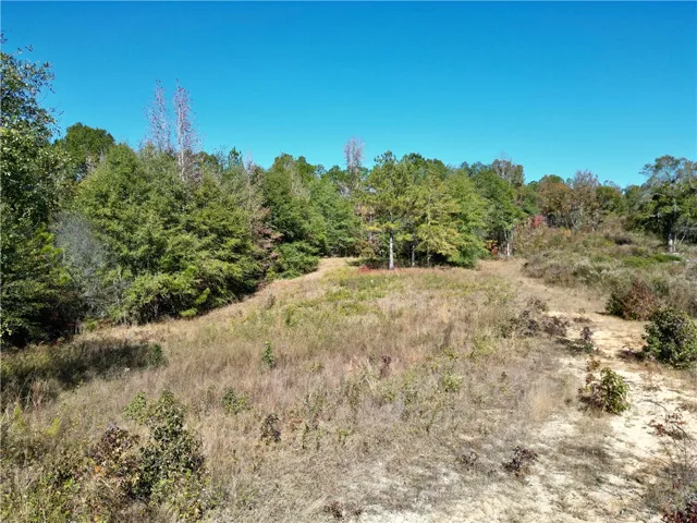 A sprawling, naturally vegetated lot presents a prime opportunity for development amidst a serene, wooded backdrop.