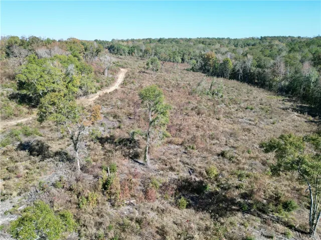 Unleash possibilities on this vast, wooded expanse with a winding path through the natural landscape.