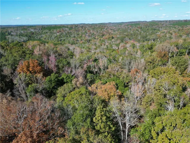 Vast stretches of verdant woodlands, with a gentle rise of hills beyond, offer serene, natural beauty.