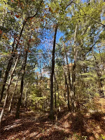 A tranquil, wooded lot offers abundant natural privacy and a peaceful setting.