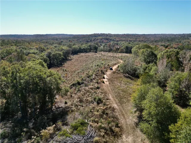 Vast natural acreage featuring a winding dirt road and dense tree lines under an open sky.