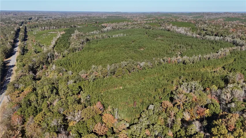 Acres of verdant forest and undeveloped land offer vast possibilities for rural living or investment.