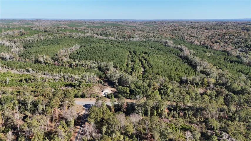 An aerial panorama reveals expansive wooded acreage, ideal for development or a private retreat.