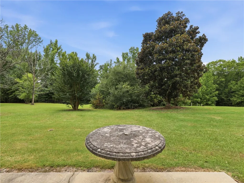 A verdant, open yard with mature trees and ample space for outdoor enjoyment.