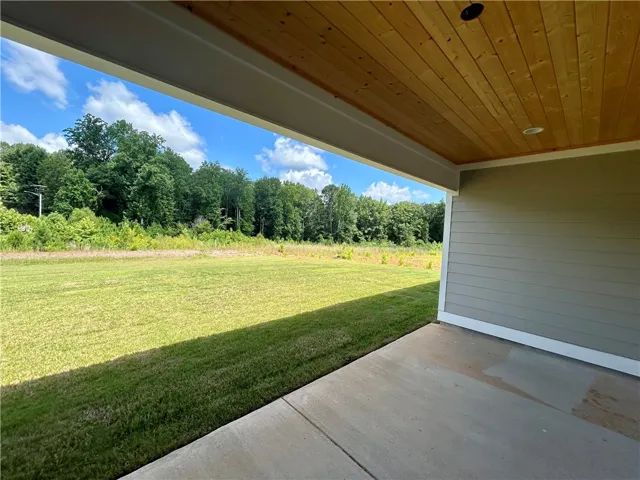 A spacious concrete patio extends to a verdant yard, bordered by mature trees and open sky.