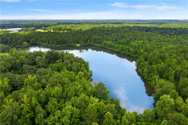 Lush woodlands embrace a serene lake, reflecting the open sky above.