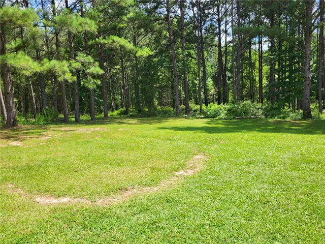 1019 County Road 284 N/a, Five Points, Alabama 36855